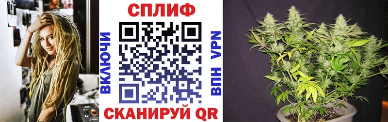 маркетплейс как зайти Горячий Ключ Канабис OG Kush купить наркоту